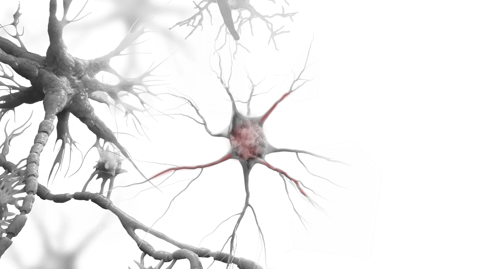 How Sticky Plaque destroys your nerves